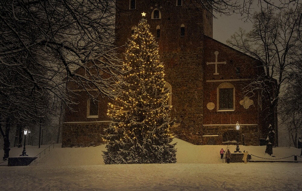 Kerstboom Boxmeer