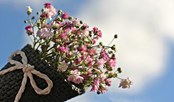 Bloemen Gennep